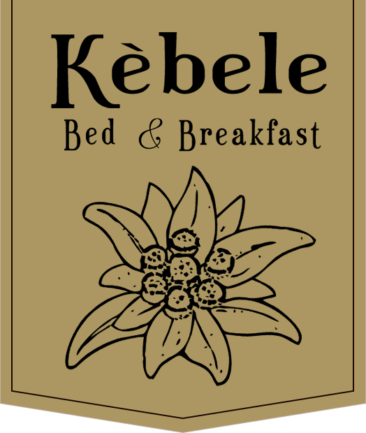 home_kebele_logo_content
